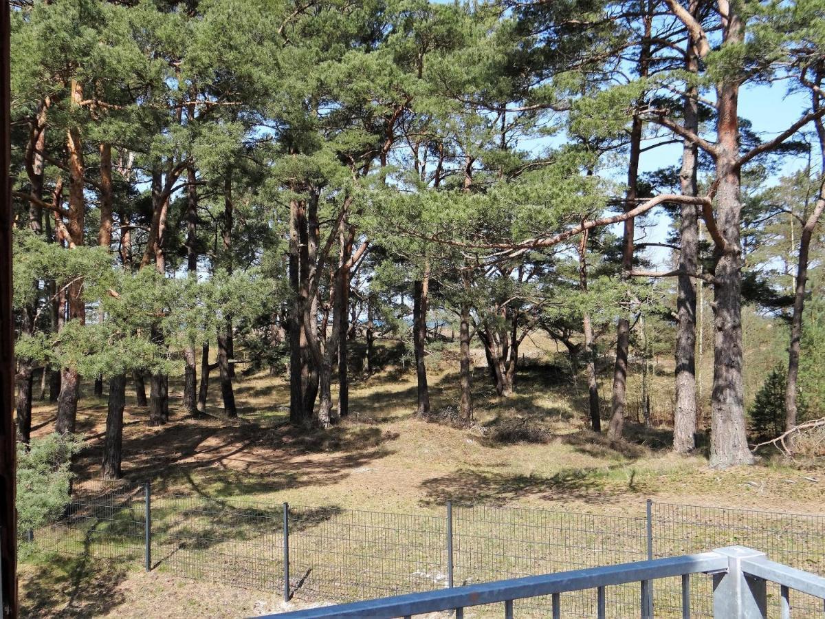 Ferienanlage Haus hinter den Dünen App 6 DG 2 Prerow Exterior foto